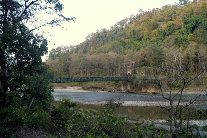 kaushi river bridge wildlife photography