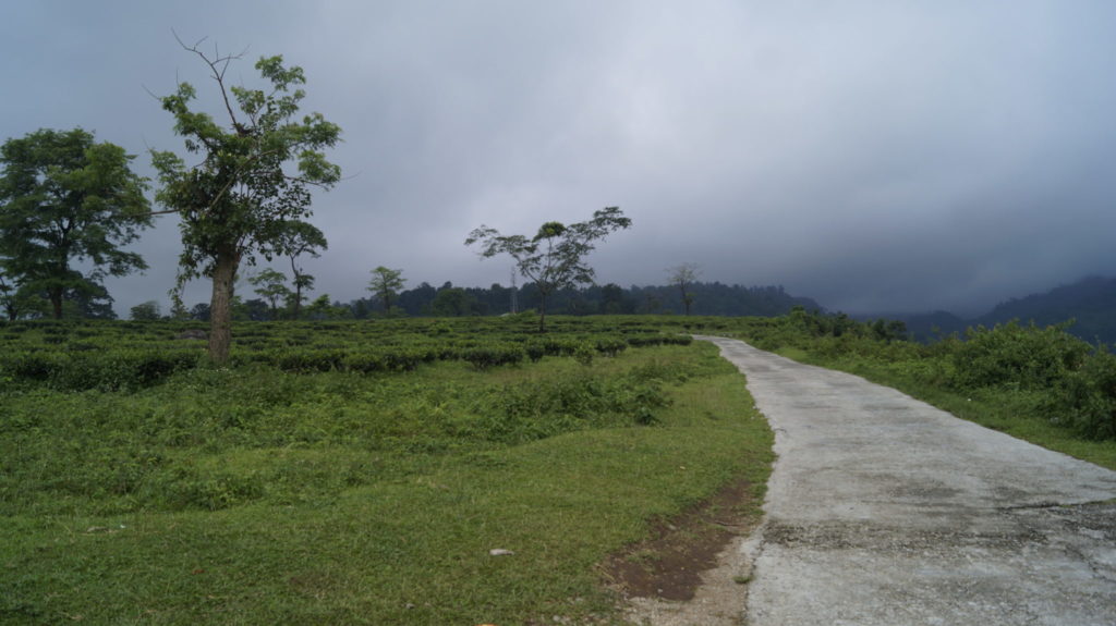 nature photography blogs