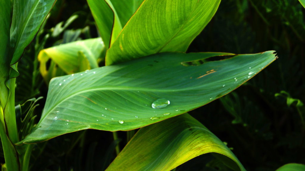 photography in singapore