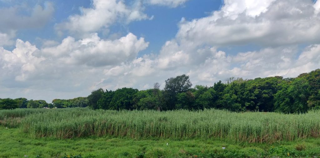 antpur village photography