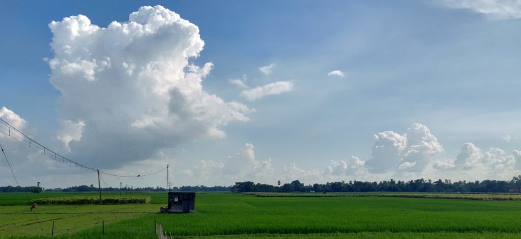 antpur village agricultural land photography