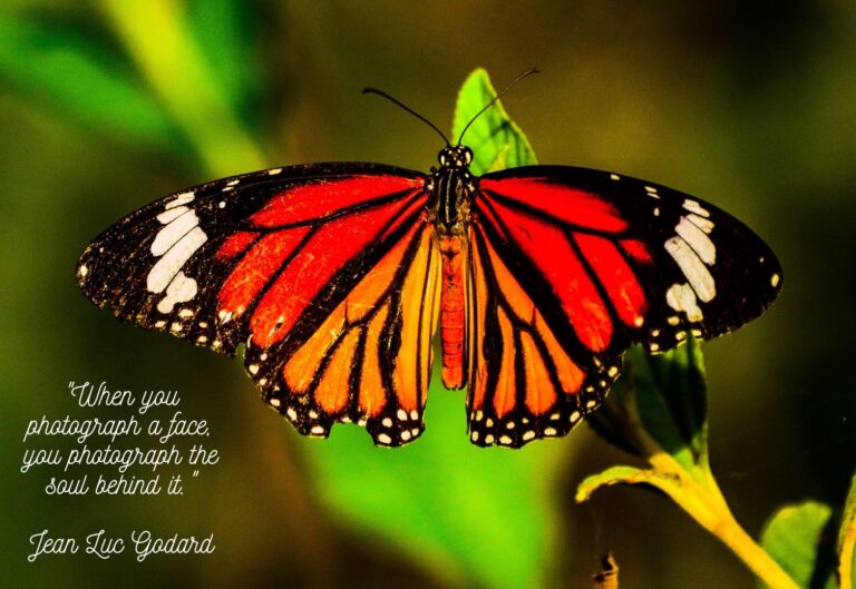 inspirational photography quotes