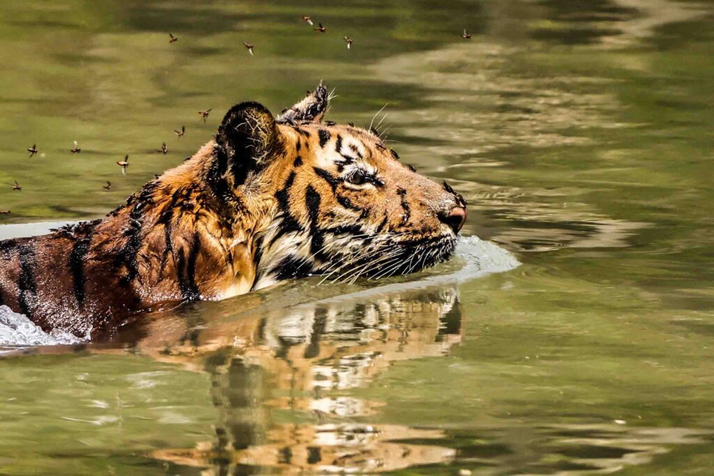 Types of Photography for beginners