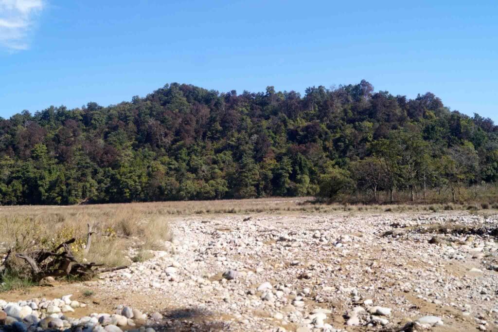 Jim corbett landscape with daylight white balance
