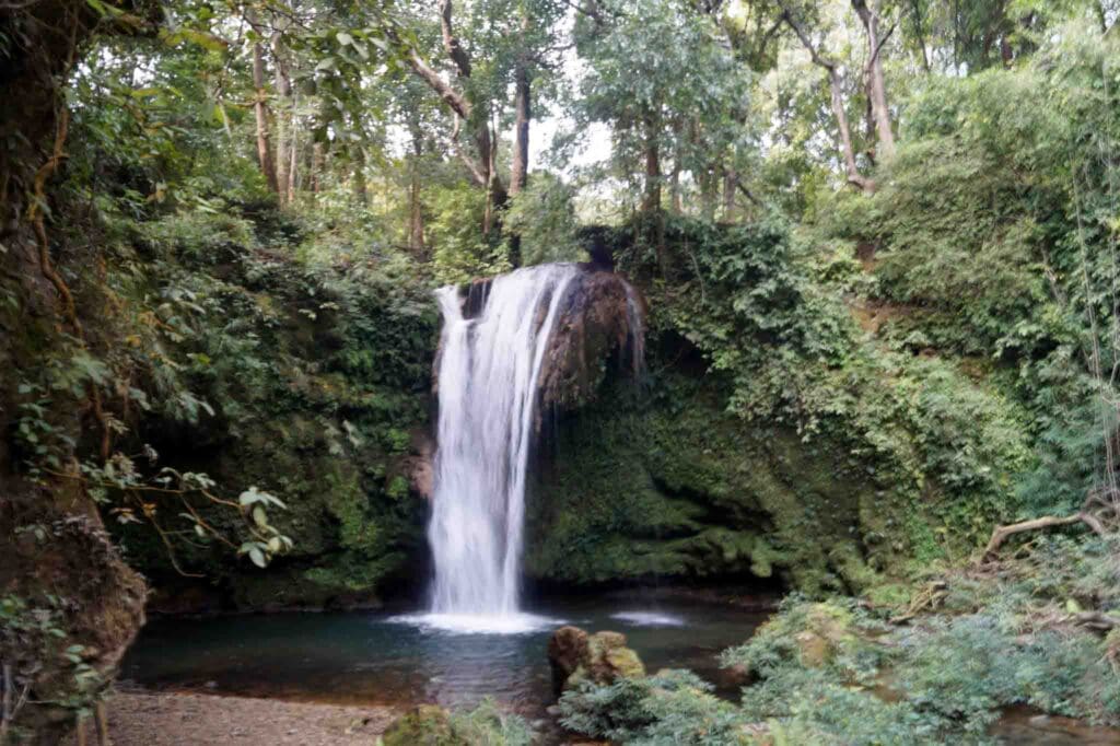 wildlife photography and jungle safari at Jim Corbett National Park