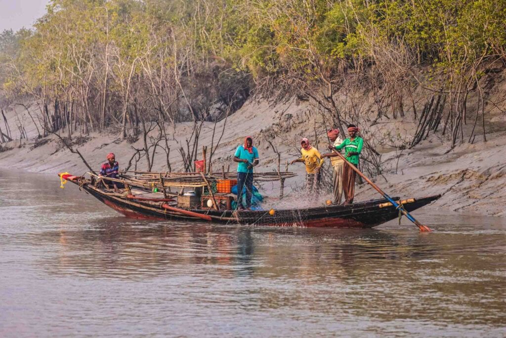 fishermen of Sundarban Mangroves