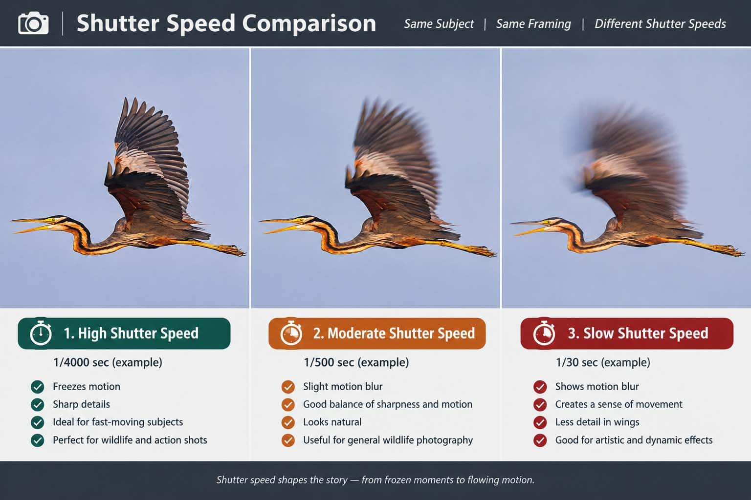 Shutter speed comparison showing the same flying heron captured at high, moderate, and slow shutter speeds, demonstrating frozen motion, slight blur, and strong motion blur.