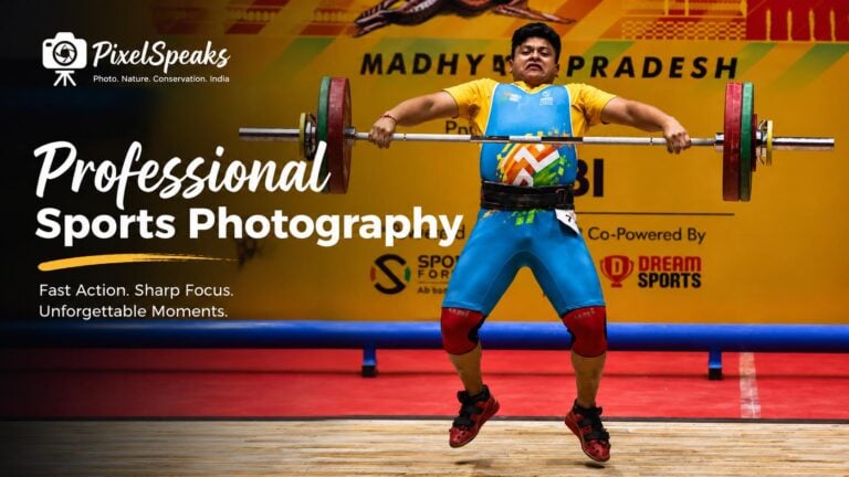 Professional Sports Photography
