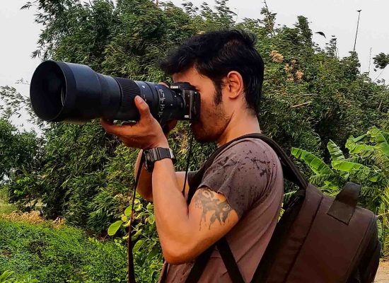 Wildlife Photographer